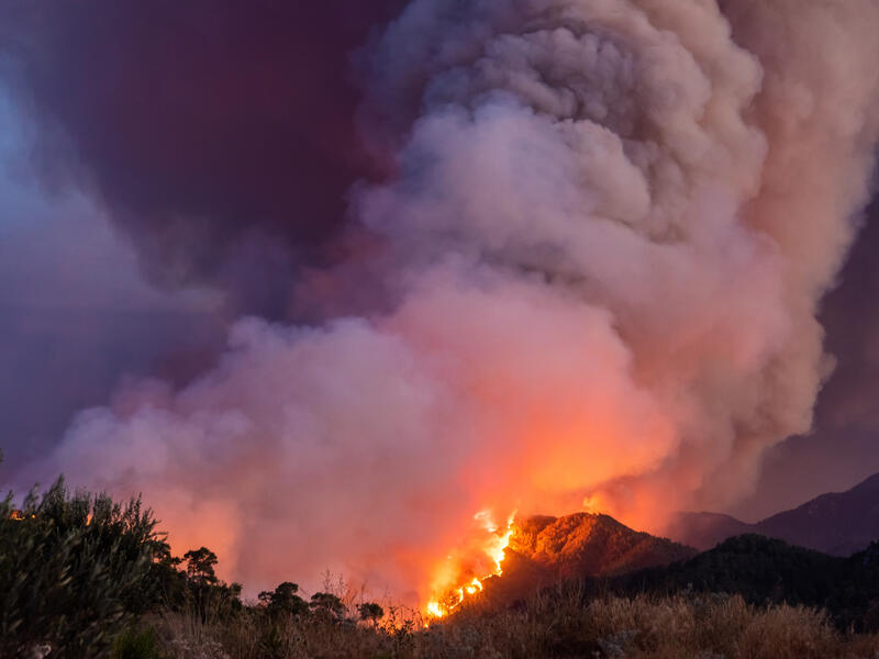 Combatting climate change 