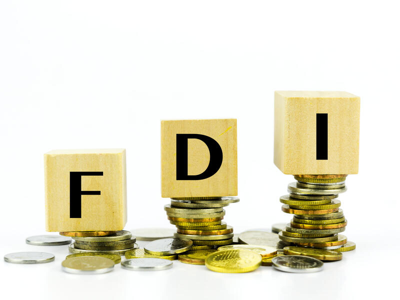 UAE FDI