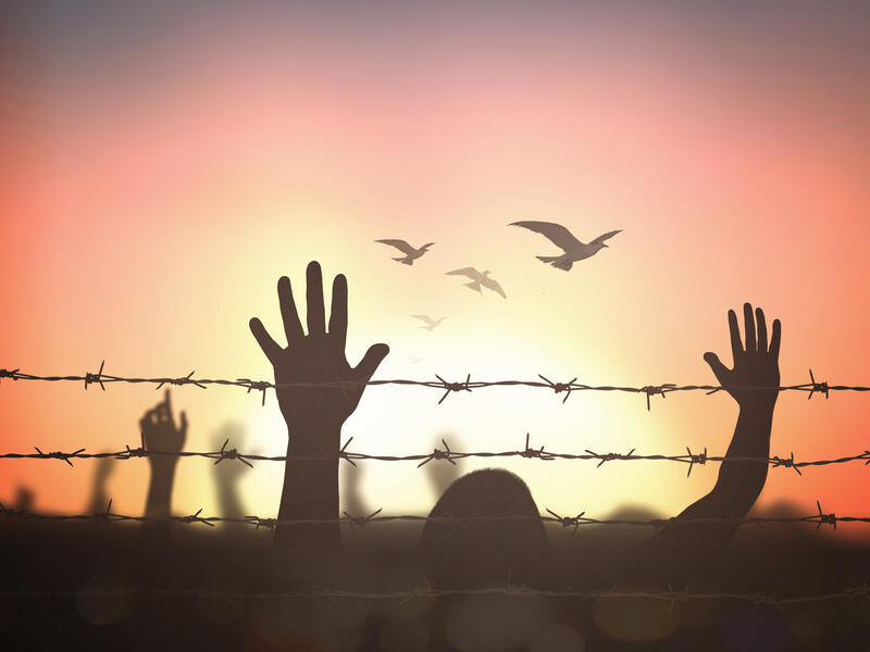 Human rights 