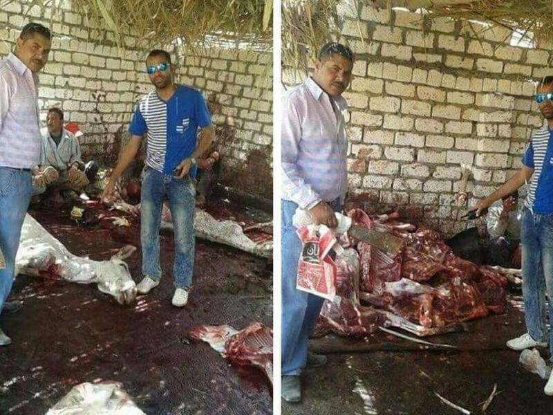 مباحث القيوم بمصر تضبط 30 حمار مذبوحا قبل بيعهم لمحلات الكباب والكفتة في وقت سابق