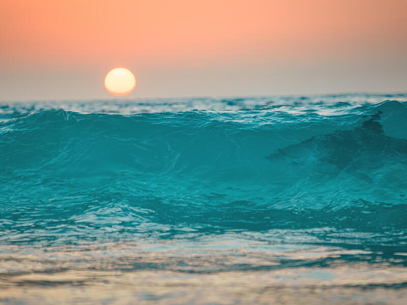 Man hospitalized with shark bite in Hawaii