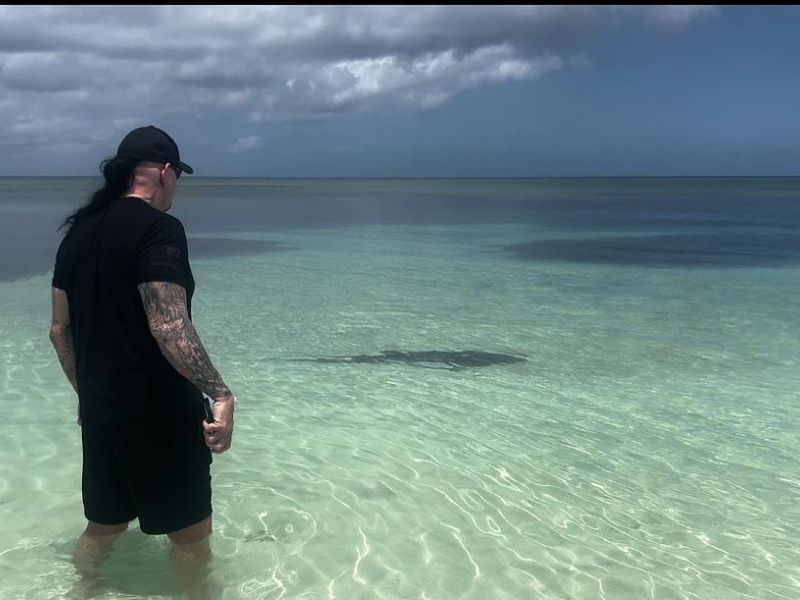 The Undertaker