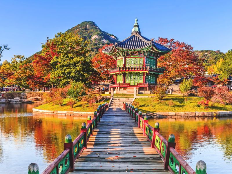 6. South Korea