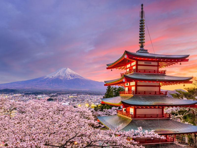 8. Japan