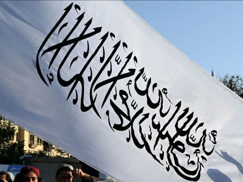 هل رفع علم طالبان في مظاهرة مؤيدة لفلسطين في أمريكا؟