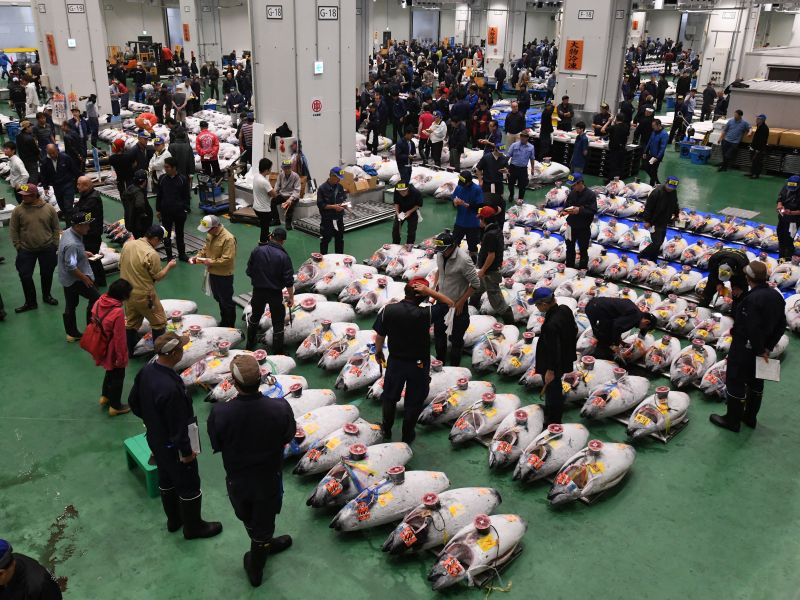Tokyo fish market 
