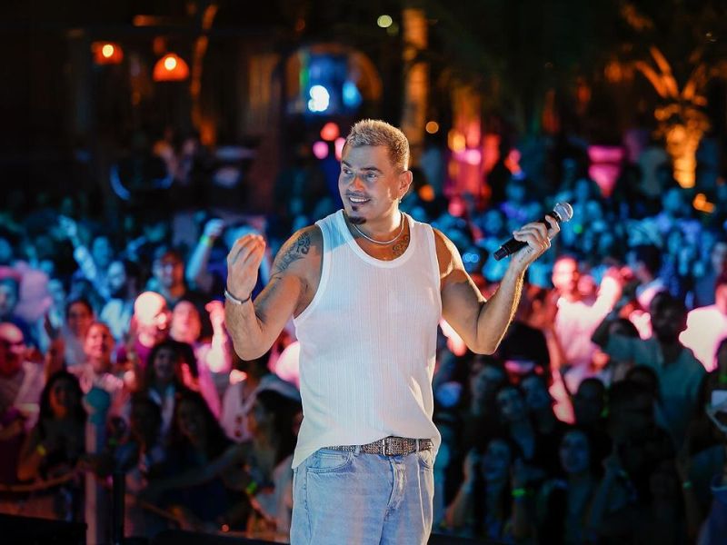 Amr Diab rebuked for calling his driver an 'animal'
