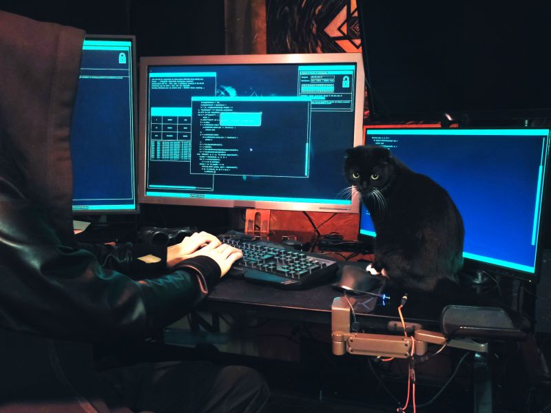 US offers $15m in rewards for BlackCat hackers who stole $94m in Ransomware