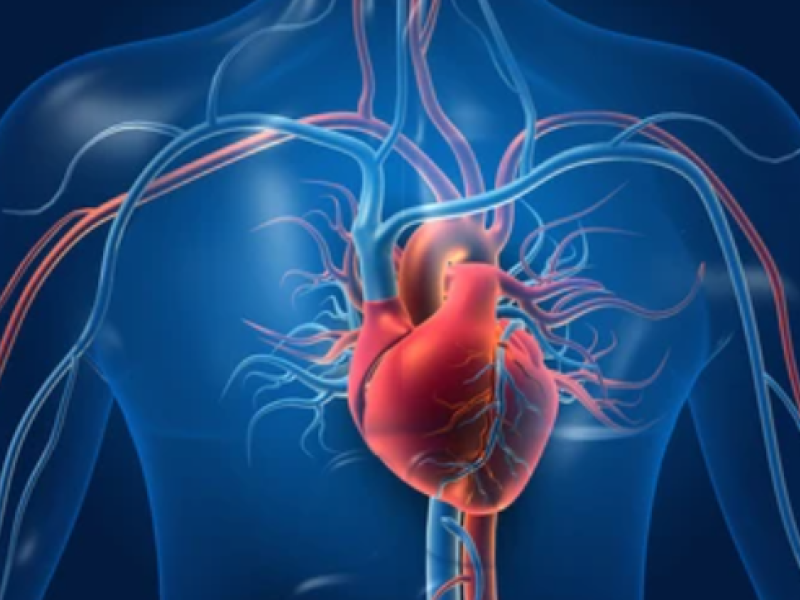 Organ Transplants