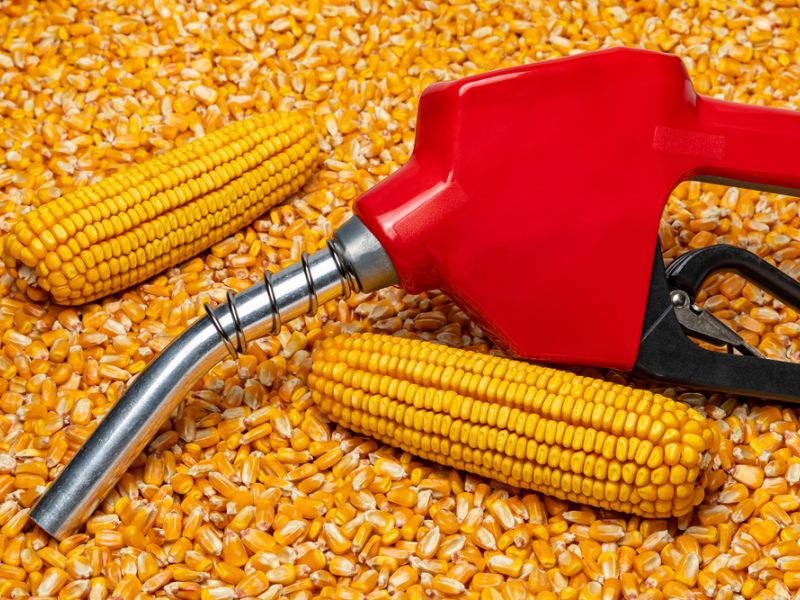 bioethanol
