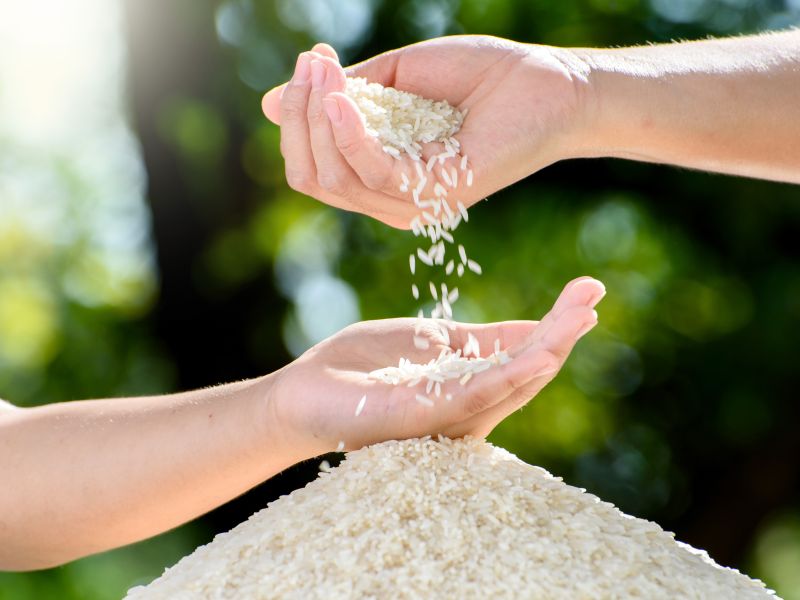 World Hunger Day