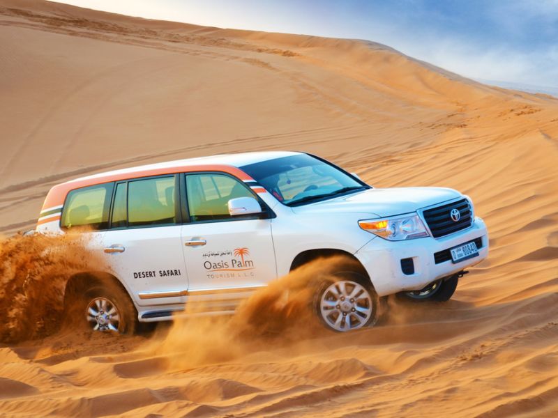 Oasis Palm Tourism presents a comprehensive range of activities that are fun and unforgettable.