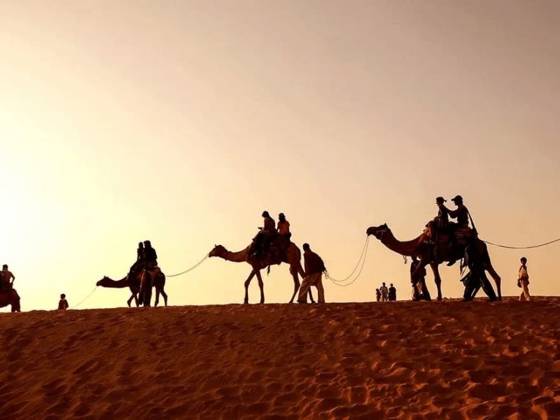البسامي وش يرجع.. من وين عائلة البسام؟