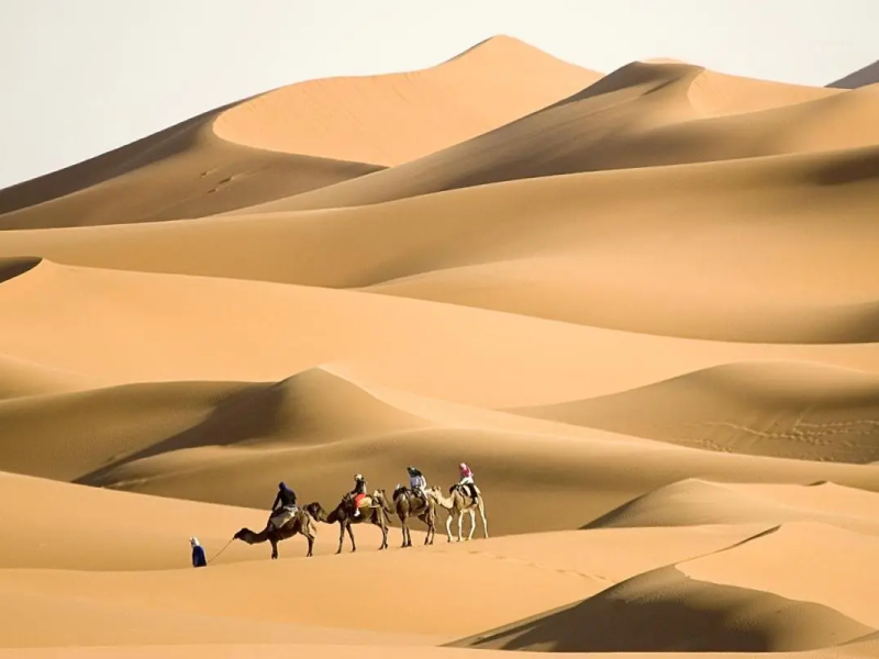 من هو عبد العزيز الدغيثر.. الدغيثر وش يرجعون
