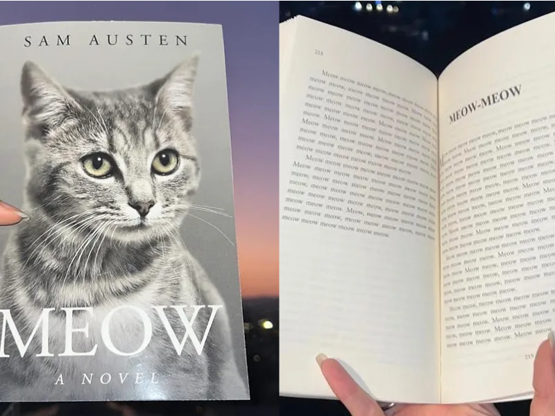 رواية Meow: A Novel