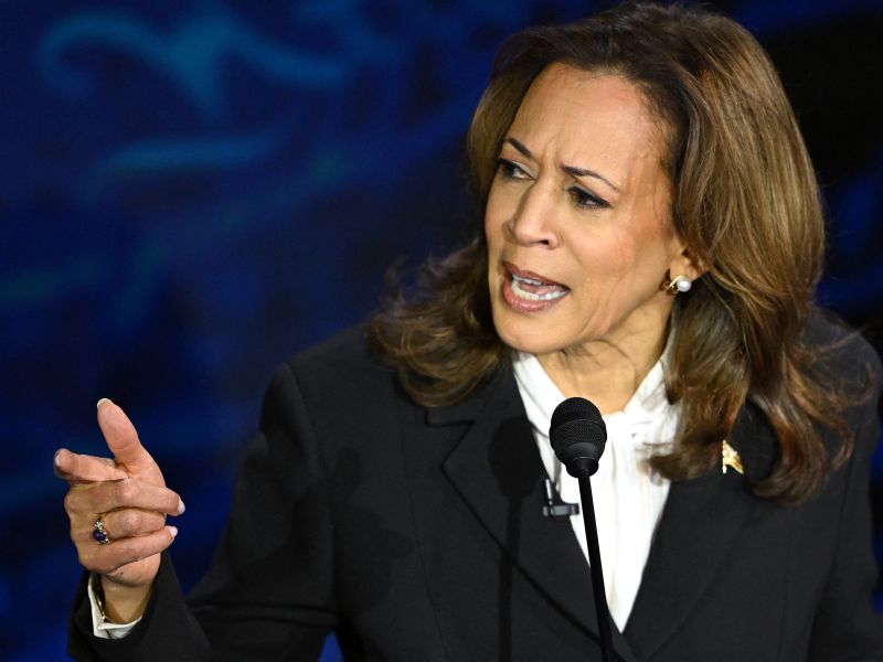 Was Kamala Harris wearing earbuds earrings?