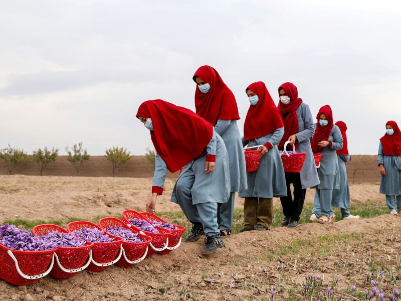 Women are gradually being erased from public spaces: Taliban authorities have banned post-secondary education for girls and women, restricted employment and blocked access to parks and other public areas. (Photo by AFP)