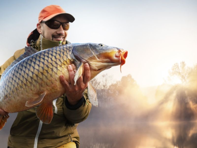Fish with lips bigger than any cosmetic surgery makes waves online