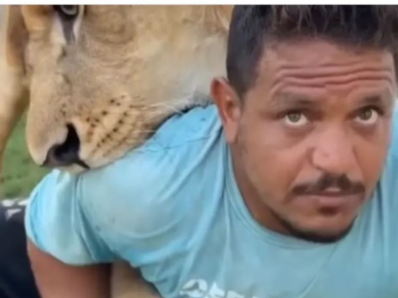 حبس ليبي أطلق أسده على أشخاص