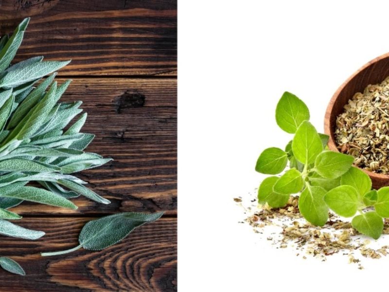 فوائد الميرمية والبردقوش للهرمونات