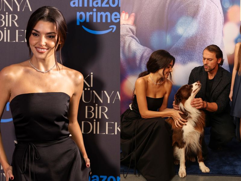 Hande Erçel