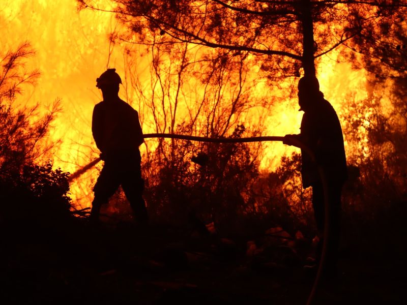forest fire