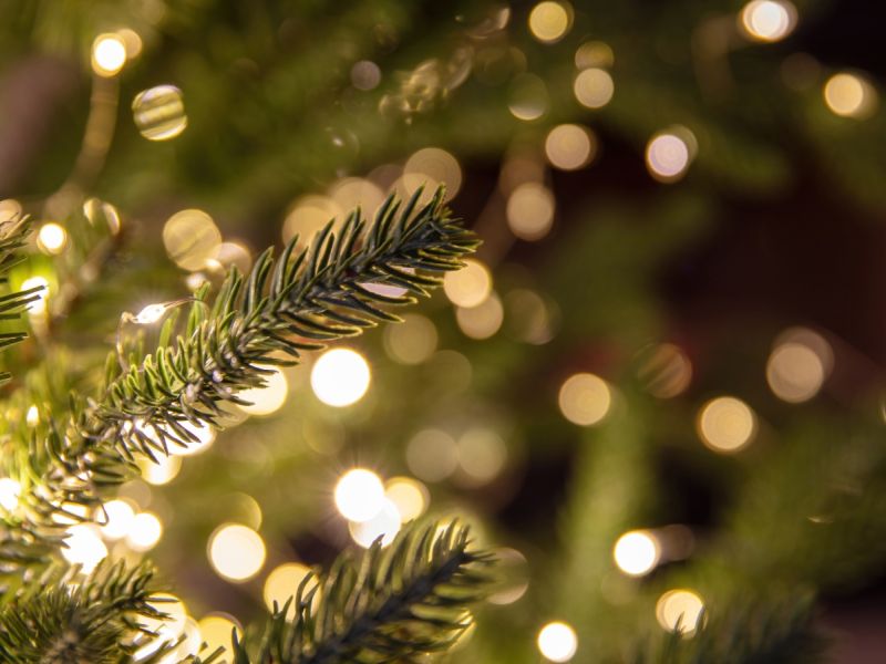 تفسير رؤية شجرة الكريسماس بدون زينة في المنام