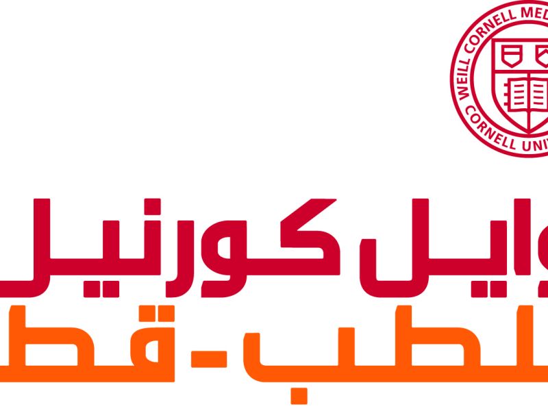 WCM-Q to host workshop on social-emotional and cognitive development