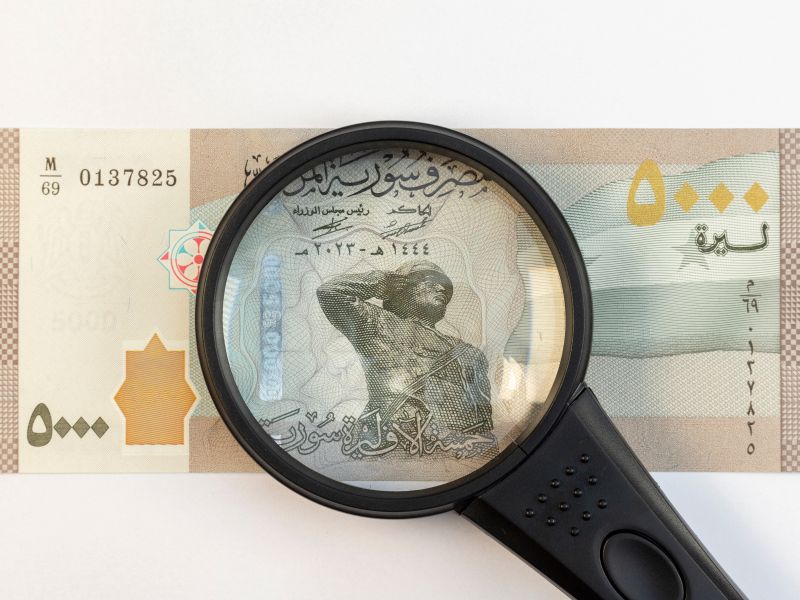 الدعم الكبير من المغتربين ساهم في تعزيز الاستقرار المالي وتحريك سعر الصرف