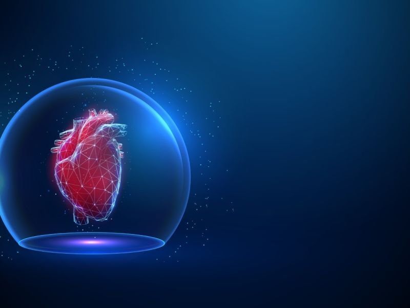 كيف تحافظ على قلبك صحيًا: أهم النصائح