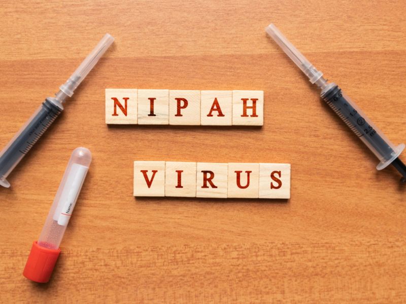 ما هو فيروس نيبا؟ الأعراض وكيفية الوقاية منه