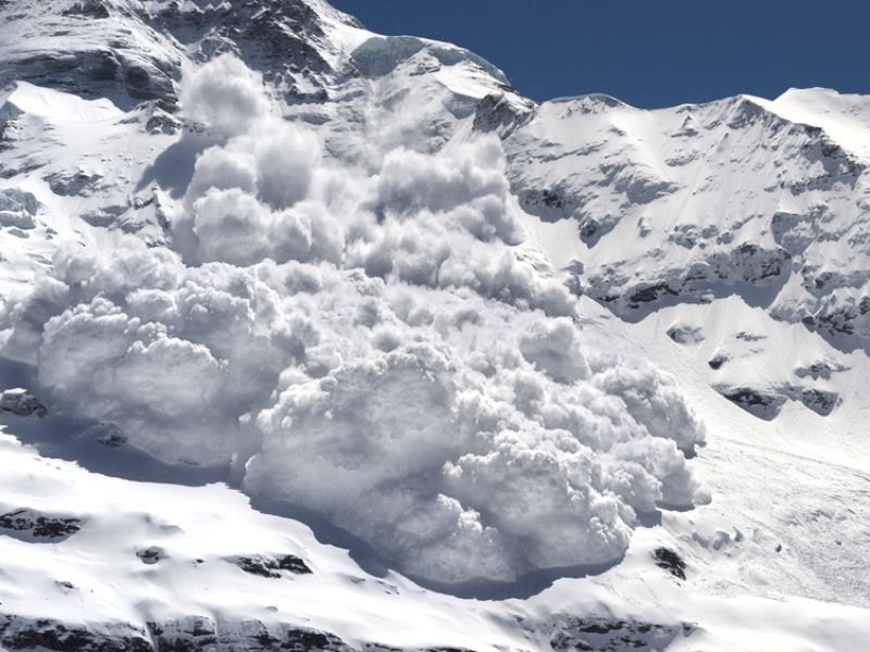 avalanches 