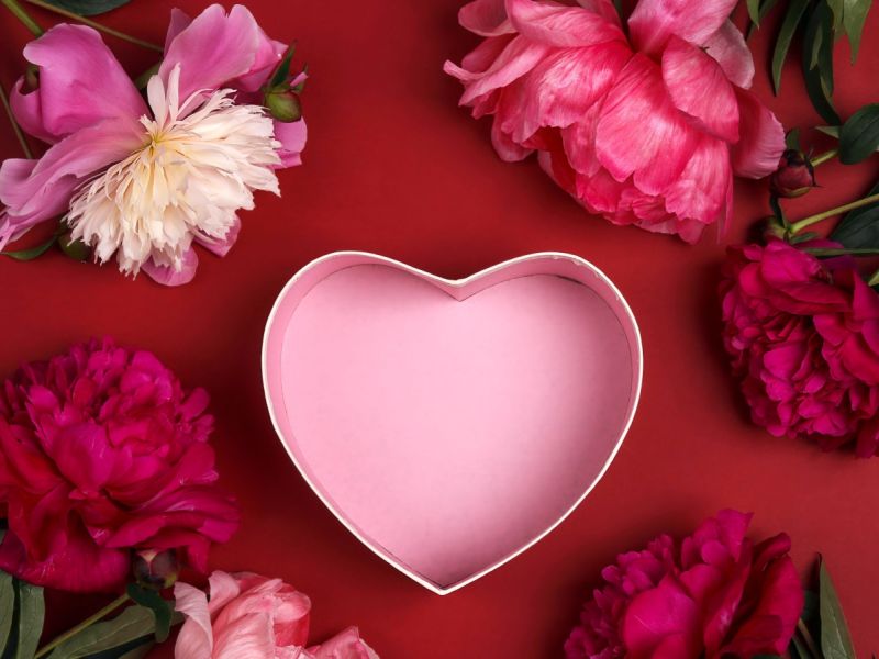 أبرز اقتباسات الحب في الشعر العربي