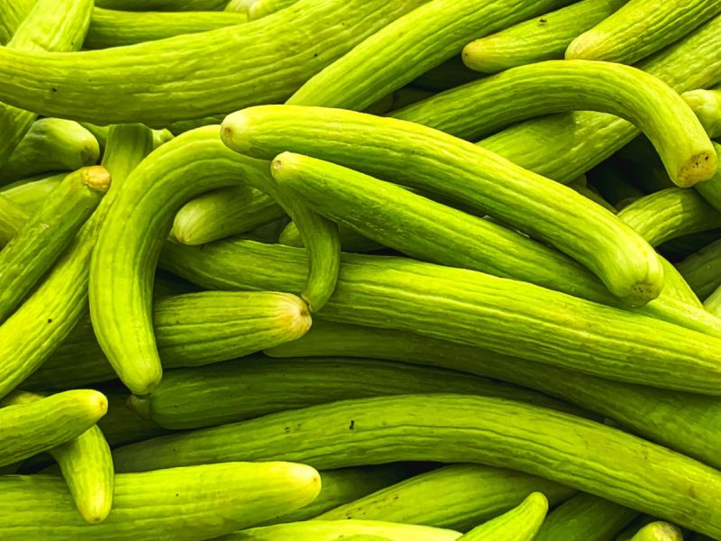 فوائد الفقوس لصحة الجهاز الهضمي والقولون