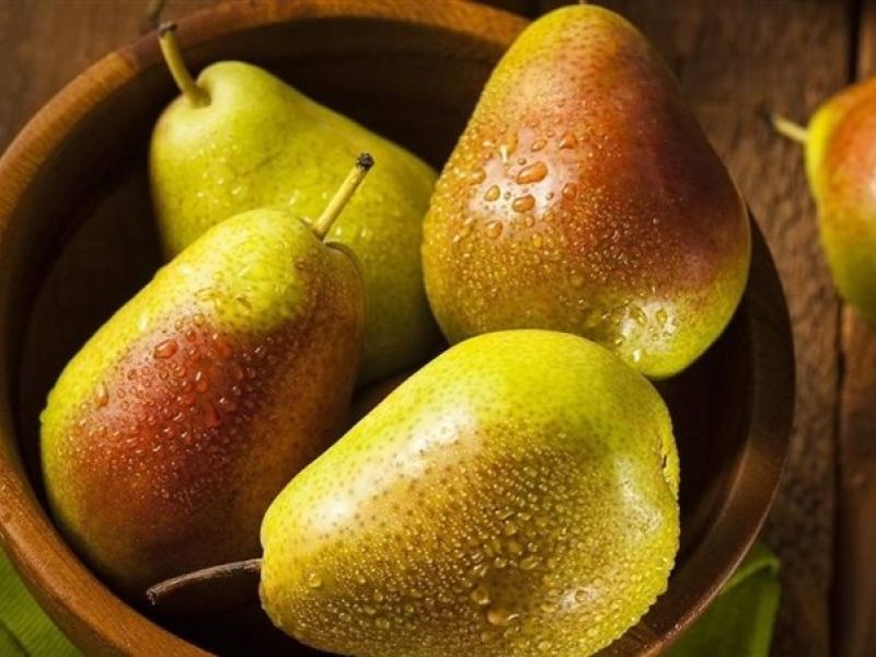 تفسير حلم قطف الكمثرى من الشجرة