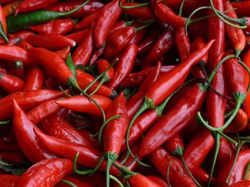 رؤية الفلفل الحار في المنام للعزباء والمتزوجه