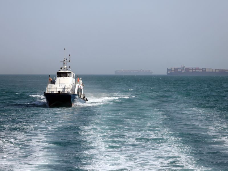 Ships in Hormuz 