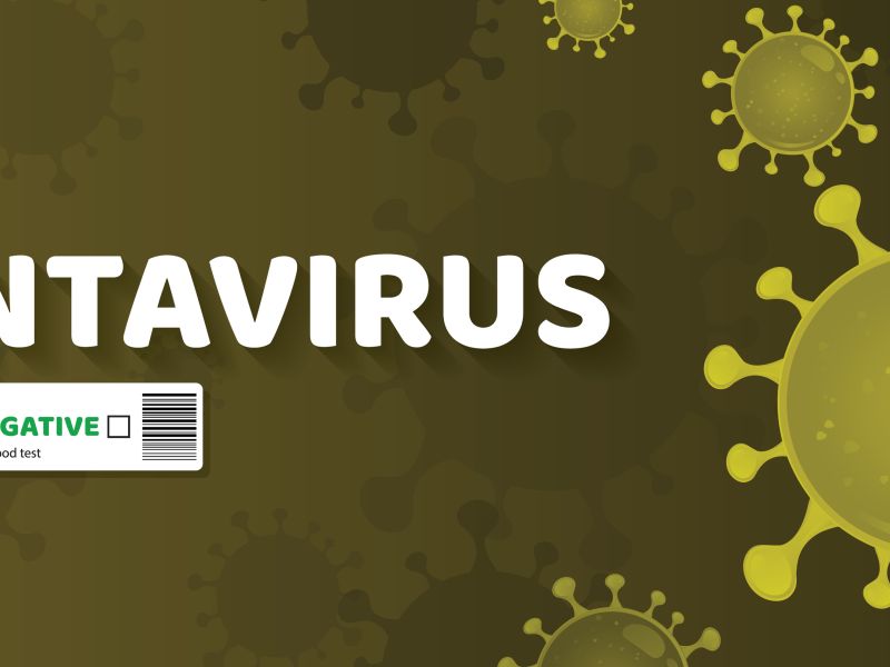 hantavirus 