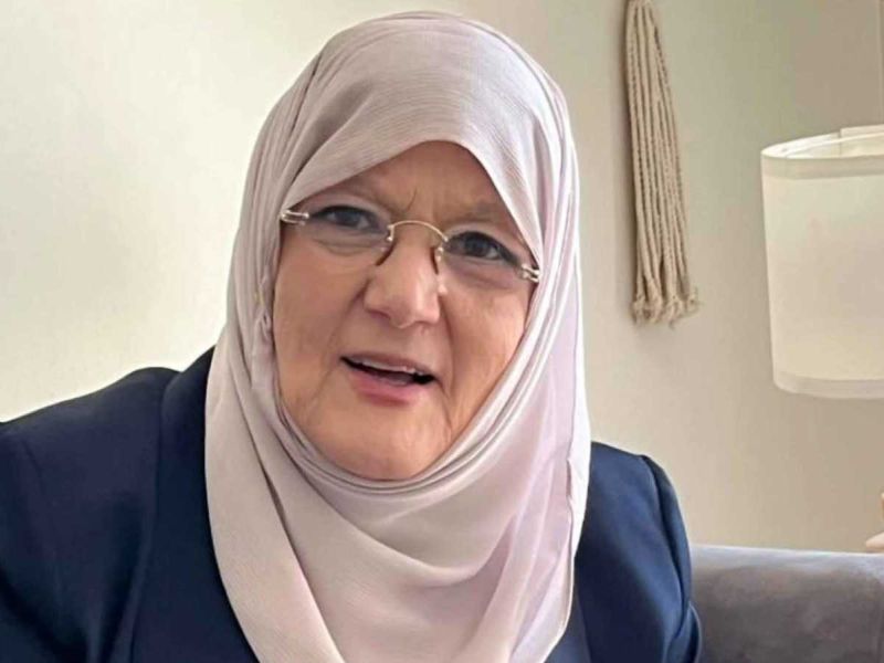 شمس البارودي
