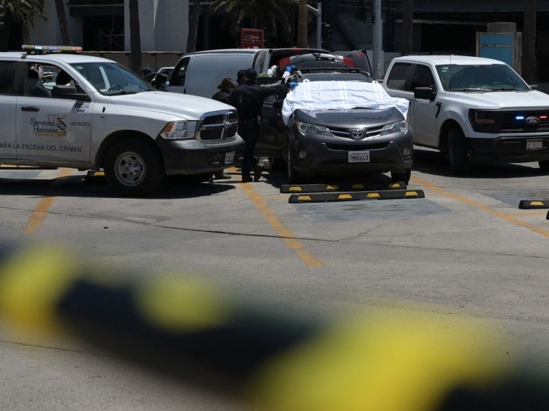 mexico  -  crime  -  wc  -  2026