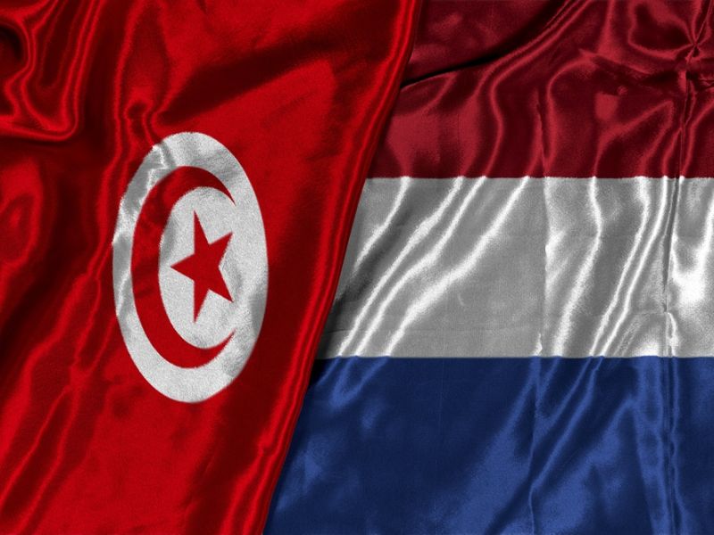 معلق مباراة تونس وهولندا اليوم في كأس العالم 2026