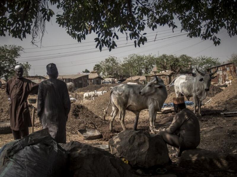 Stockbreeders rest at Kaduna Abatour meat market in North Kaduna CRISTINA ALDEHUELA / AFP