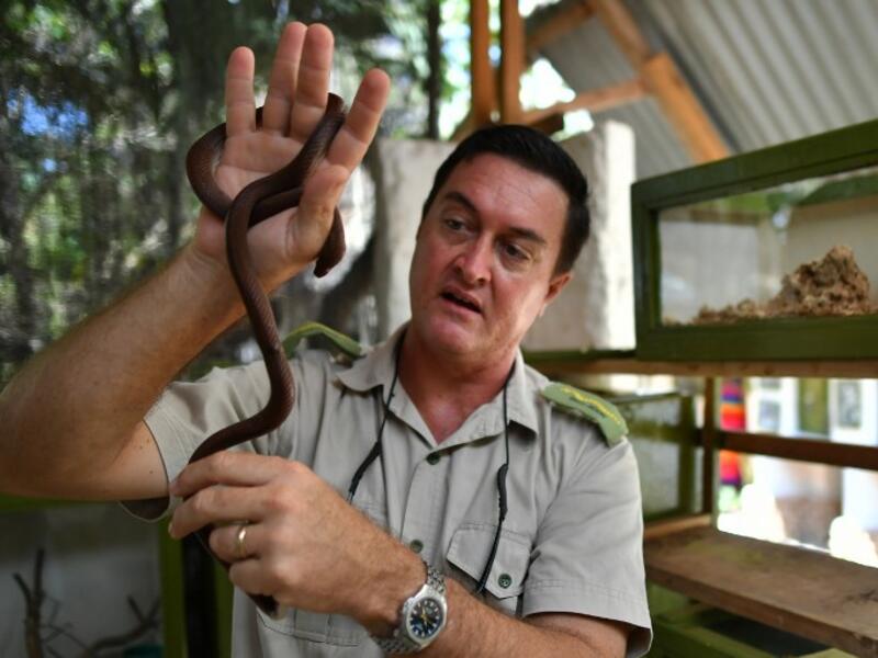 The herpetologist and director of the Bio-Ken Snake Farm, Royjan Taylor, holds a small snake on February 13, 2019, in the Kenya's coastal town of Watamu, in Kilifi county. 
TONY KARUMBA / AFP