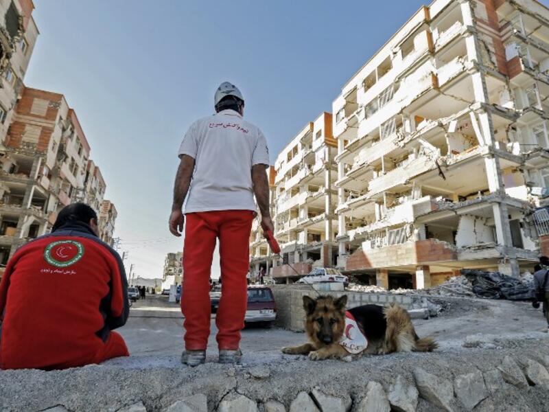An Iranian civil defence K-9 unit wait near damaged buildings during a search for survivors in the town of Sarpol-e Zahab.

(ATTA KENARE / AFP)