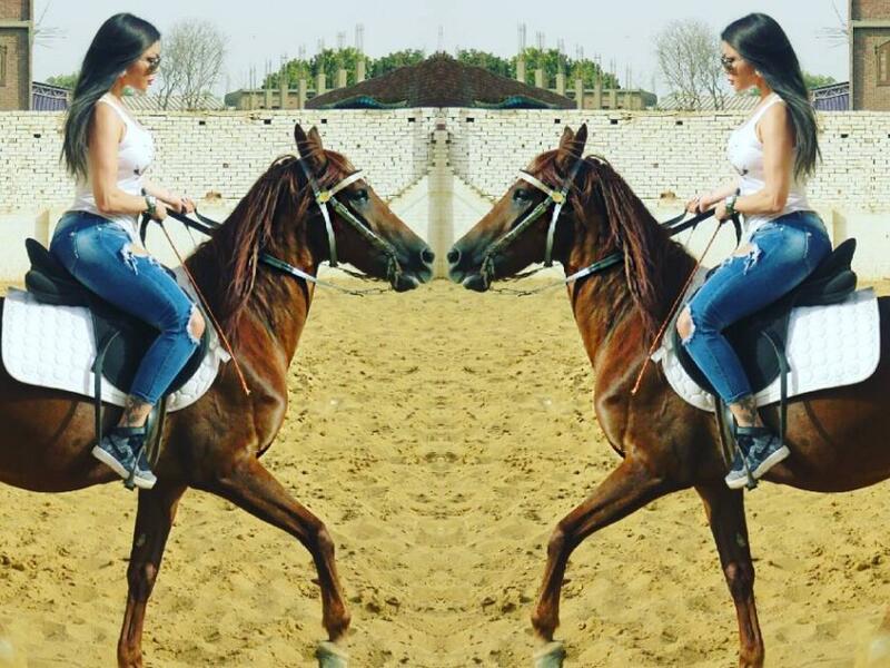 نشرت النجمة هيفاء وهبي عبر حسابها على احد مواقع التواصل الاجتماعي صورا مع الحصان الجديد “عسلية” وذلك في احد اسطبلات الخيل بجوار اهرامات الجيزة وأعربت هيفاء عن سعادتها لممارسة الفروسية في مصر وعلقت على الصورة: “مع صديقتي ا لجديدة عسلية”.