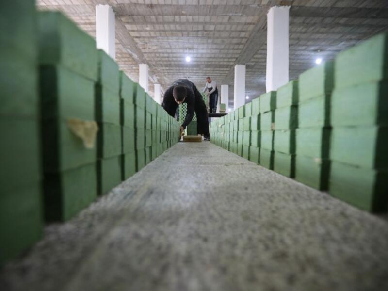 Syrian workers arrange olive soap bars in a factory on the outskirts of Aleppo 
LOUAI BESHARA / AFP