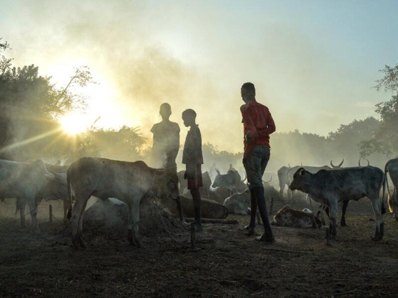 A young girl from the Falata community stands in a herd of cattle at the Dirkier cattle camp in Udier, South Sudan 
SIMON MAINA / AFP