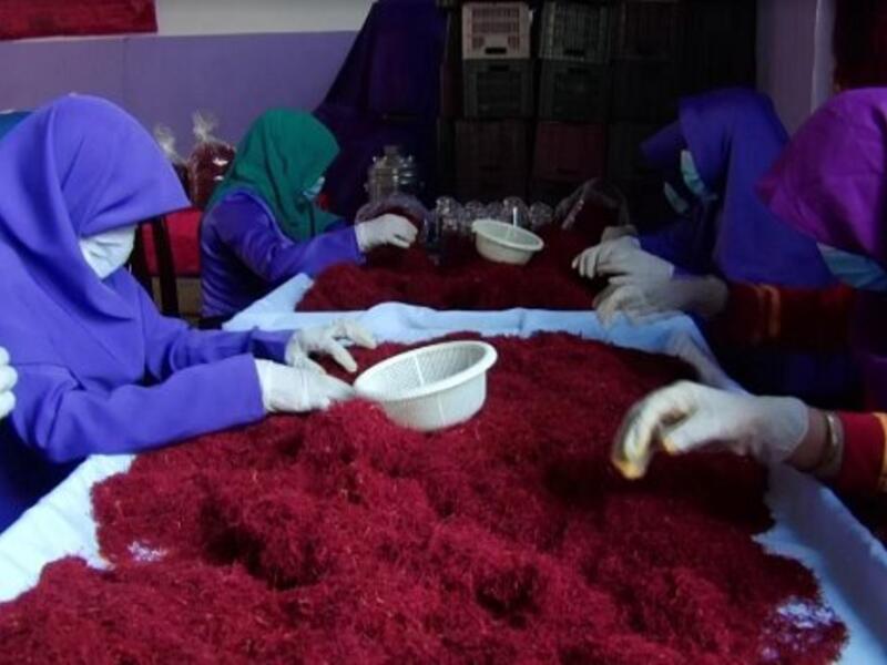 Saffron processing center (Twitter)