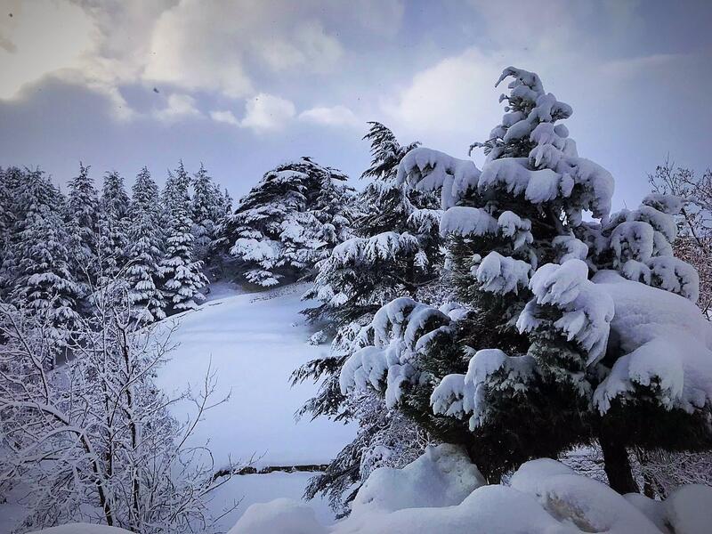 The power of white in a country full of colors Lebanon (Twitter)