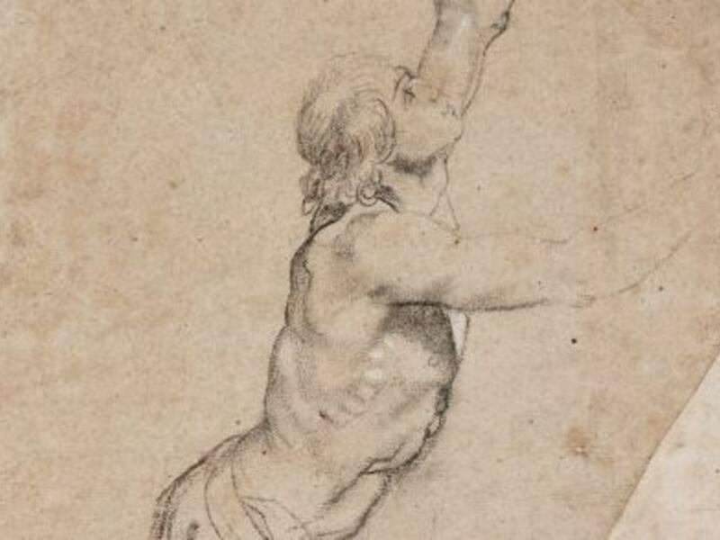 Drawing by Peter Paul Rubens (Twitter)